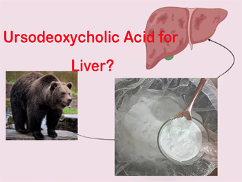 Is Ursodeoxycholic Acid Good for Fatty Liver?
